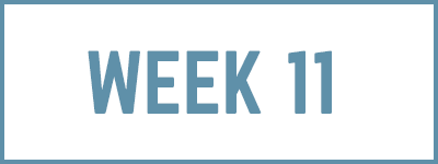 week11