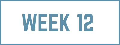 week12