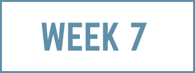week7