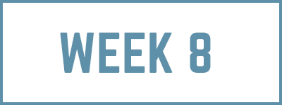 week8