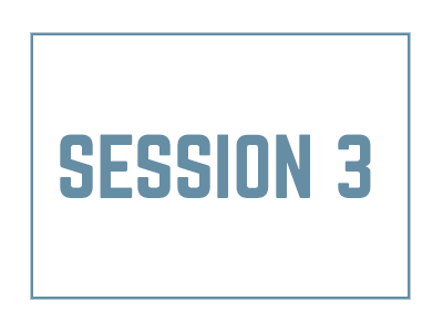 session 3